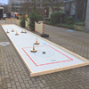 Professionele Curlingbaan Kopen 12 x 2M (Set)