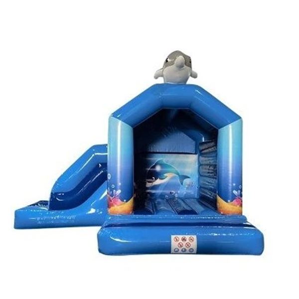 Springkussen Dolfijn met Glijbaan vooraanzicht Vooraanzicht van het onderwater dolfijn springkussen met glijbaan
